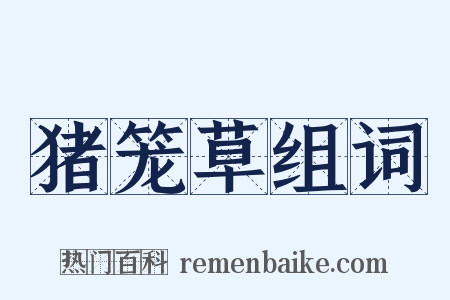 猪笼草组词是什么意思的图片